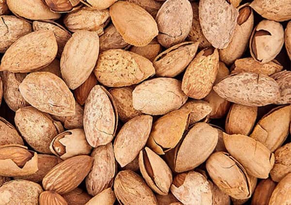 تصویر 4 از قیمت بادام پوست نازک با کیفیت ارزان + خرید عمده